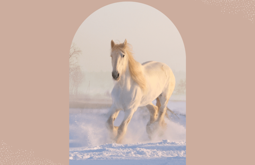 Kopie van Templates Ilse (Presentatie) (1)